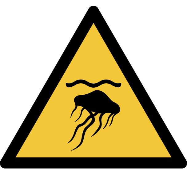 Panneau pictogramme Meduses - Djois Made By Tarifold