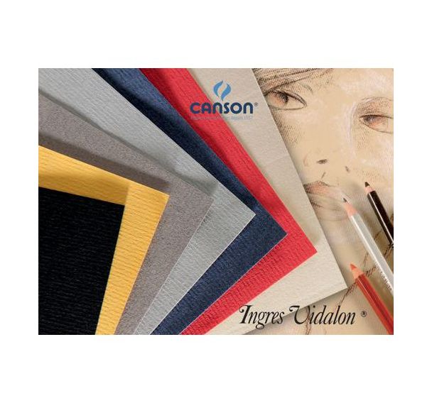 Papier dessin Ingres Vidalon 100g - 50 x 65 - Canson