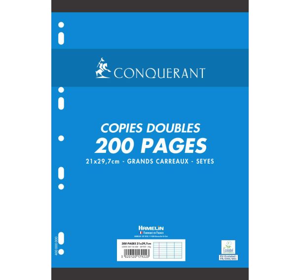 Paquet 50 copies doubles 90g 200p 21x29.7cm seyes perforées