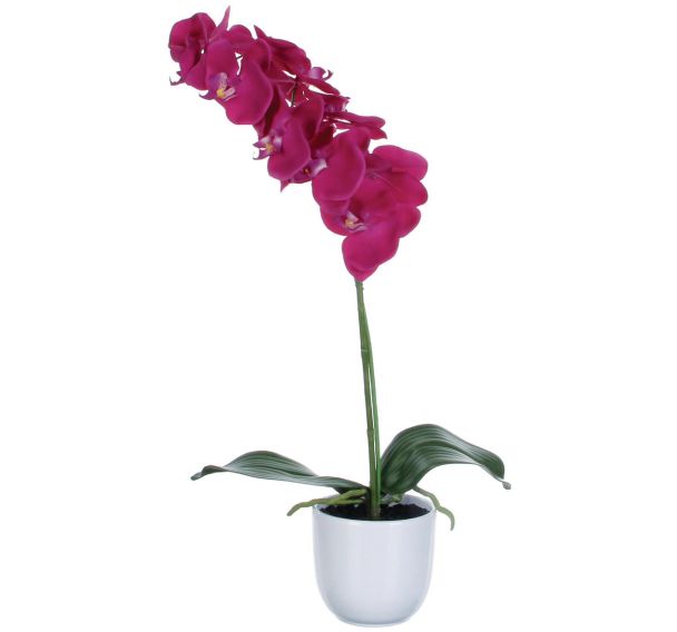 Phalaenopsis orchidée 60 cm - Vepabins
