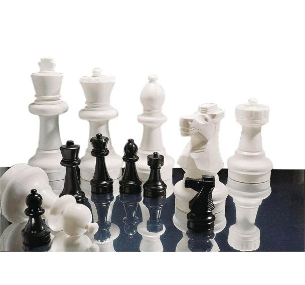 Pièces d'Echecs (32 pièces : 16 noires + 16 blanches)