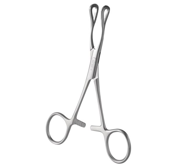 Pince en Coeur 16 cm