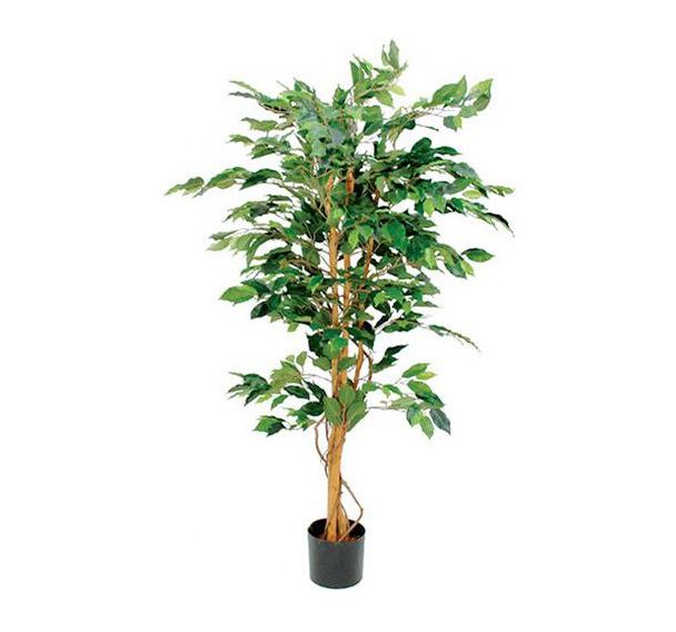 Plante articielle Ficus Benjamina vert hauteur 150cm
