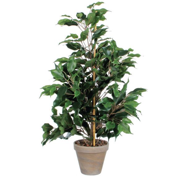 Plante articielle Ficus Exotica vert hauteur 65 cm