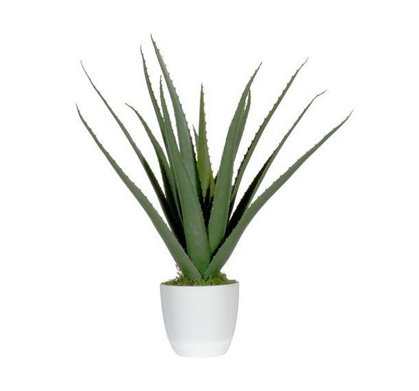 Plante artificielle Aloe Vera 45 cm-Meet By Paperflow