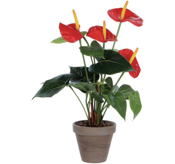 Plante artificielle Anthurium hauteur 40cm coloris vert rouge