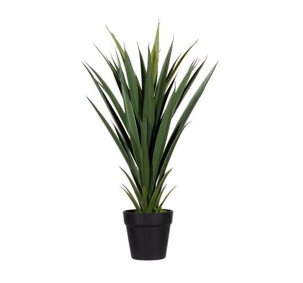 Plante artificielle Yucca - 60 à 150 cm - Meet By Paperflow