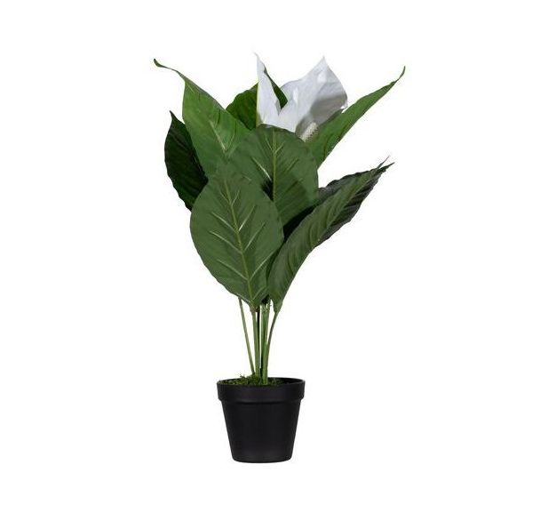 Plante artificielle fleur de lune 55 cm-Meet By Paperflow