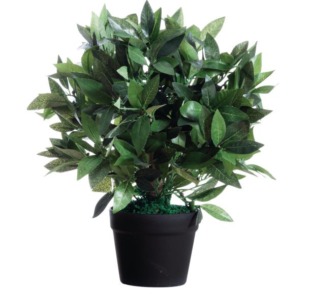 Plante artificielle laurier H : 50cm