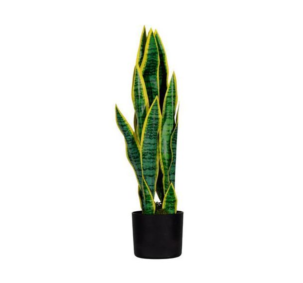 Plante artificielle sansevieria 65 cm-Meet By Paperflow