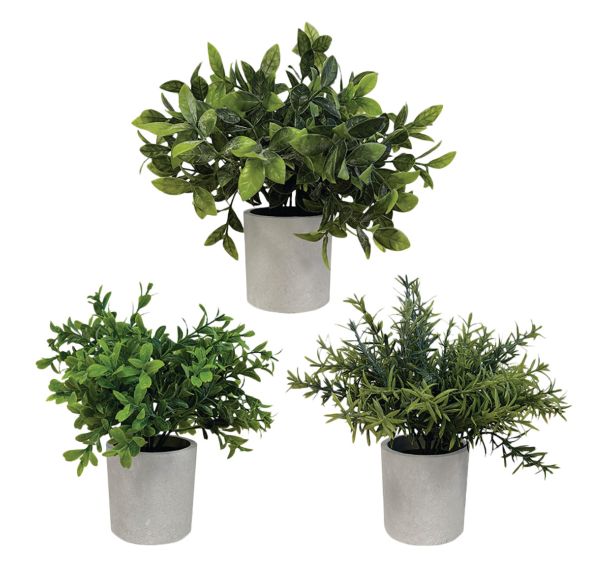 Plantes artificielles Buis Romarin Gris