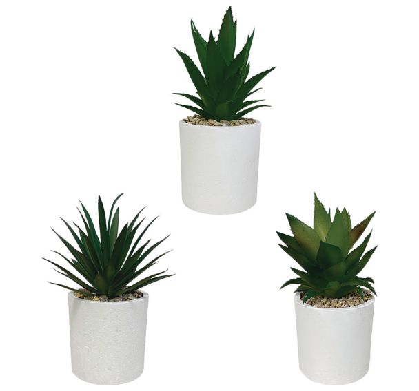 Plantes succulentes artificielles pot conique Blanc
