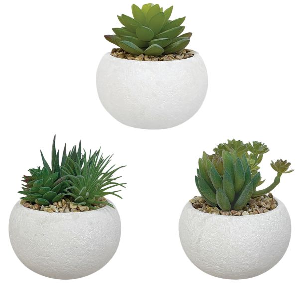 Plantes succulentes artificielles pot rond Blanc