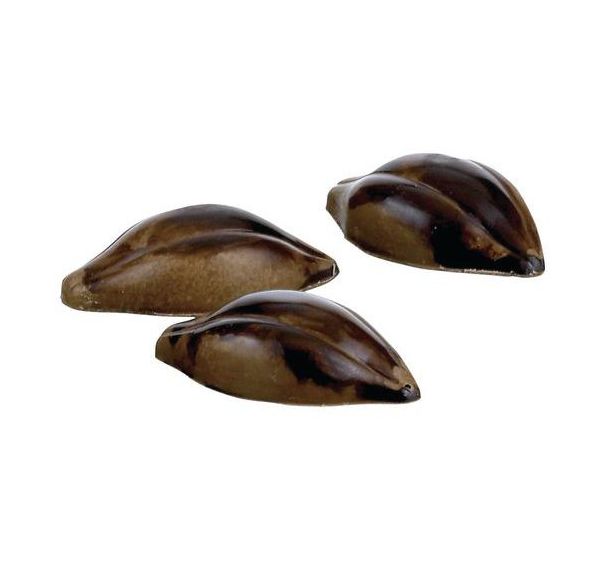 Plaque Cabosses 24 empreintes