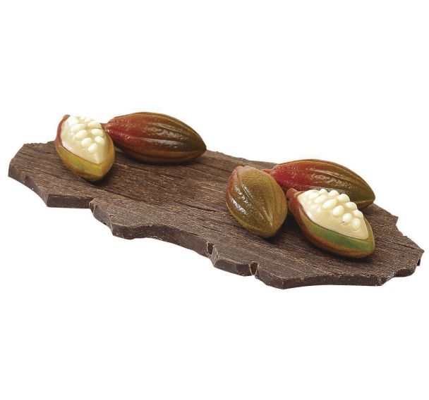 Plaque chocolat feve cacao 24 empreintes