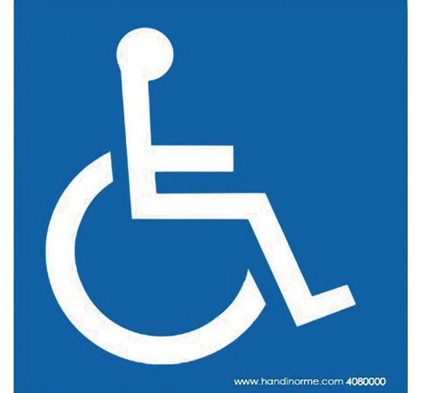 Plaque magnétique pour véhicule handicapé