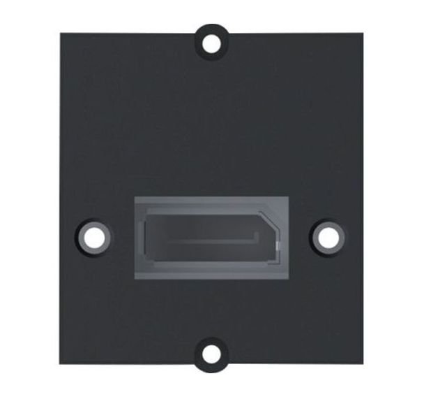 Plastron DisplayPort