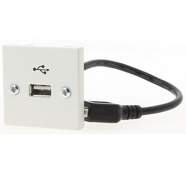 Plastron USB 20 cm Femelle-A / Femelle-A