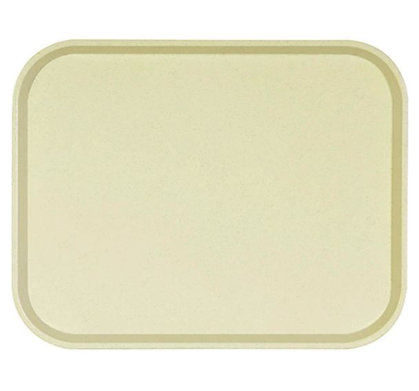 Plateau en polyester vanille-Polyone