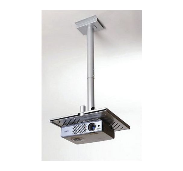Platine antivol 717280 taille M avec potence de 7 à 90 cm - Erard Pro