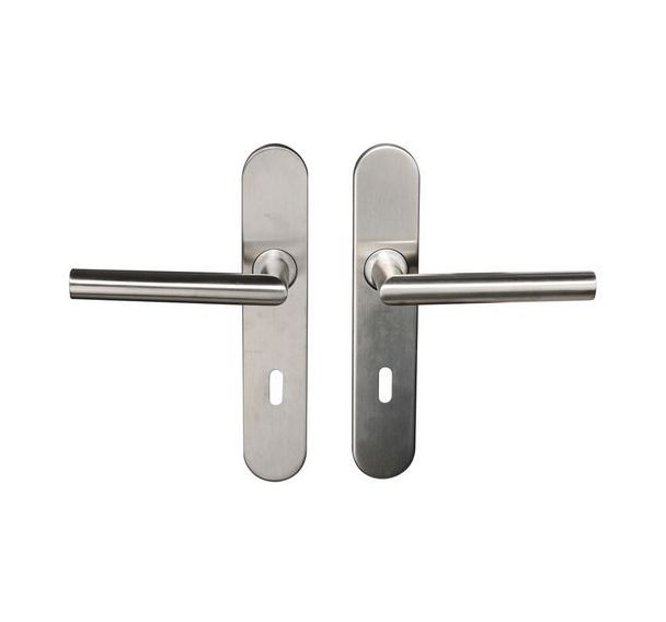 Poignée de porte inox sur plaque Tempo Disco - Bricard