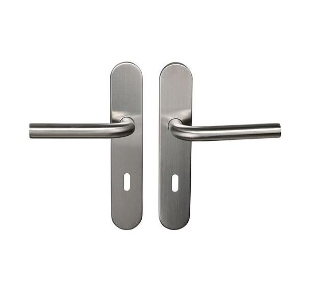 Poignée de porte inox sur plaque Tempo Pop - Bricard