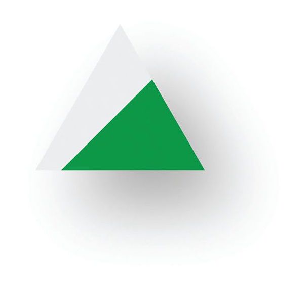 Pointe de flèche adhésive LeanStripe - Vert/Blanc - Ergomat