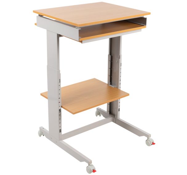 Poste informatique Twin 6820