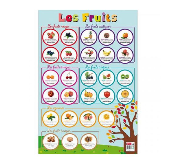 Poster Les fruits