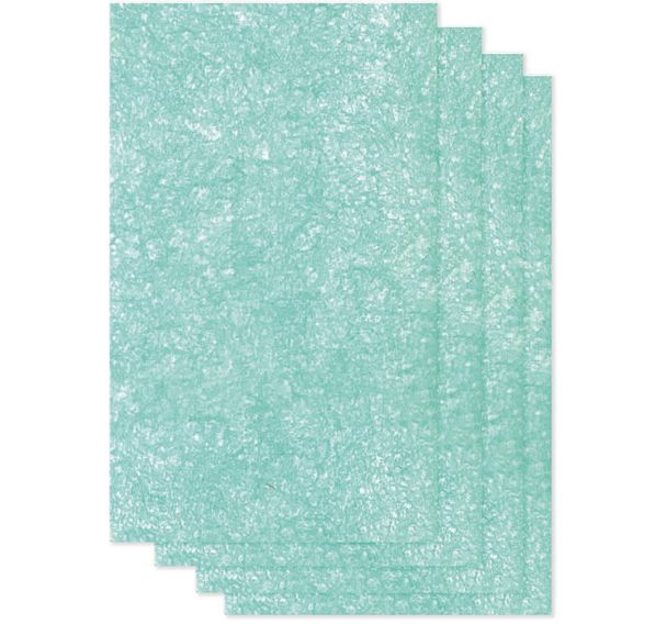 Pré-filtre AM2 - AeraMax (lot de 4)