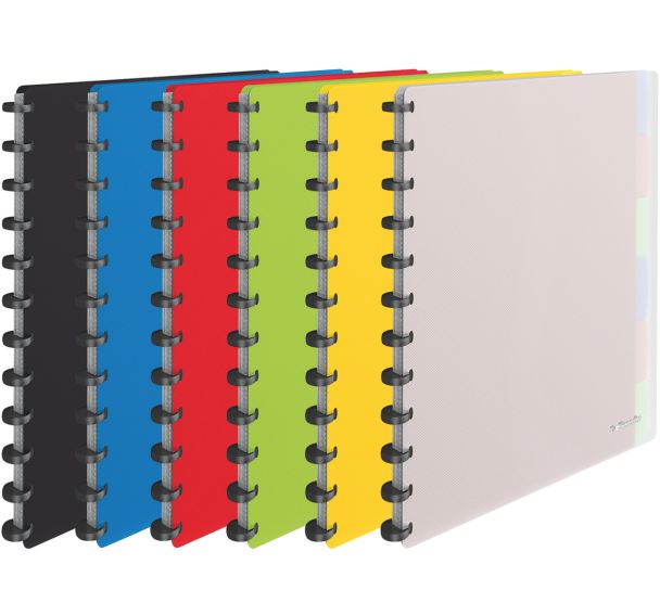 Protège-documents Vivida polypro amovibles Assortis