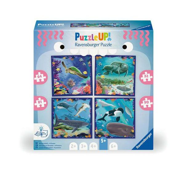 Puzzle Up! 5 ans les animaux marins