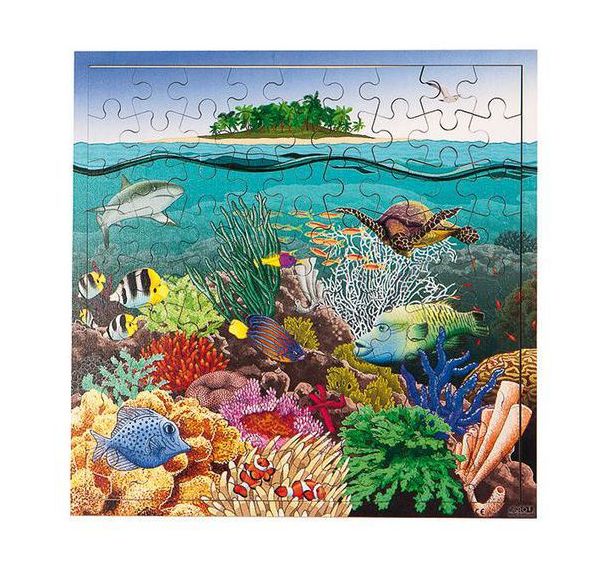 Puzzle des récifs coralliens
