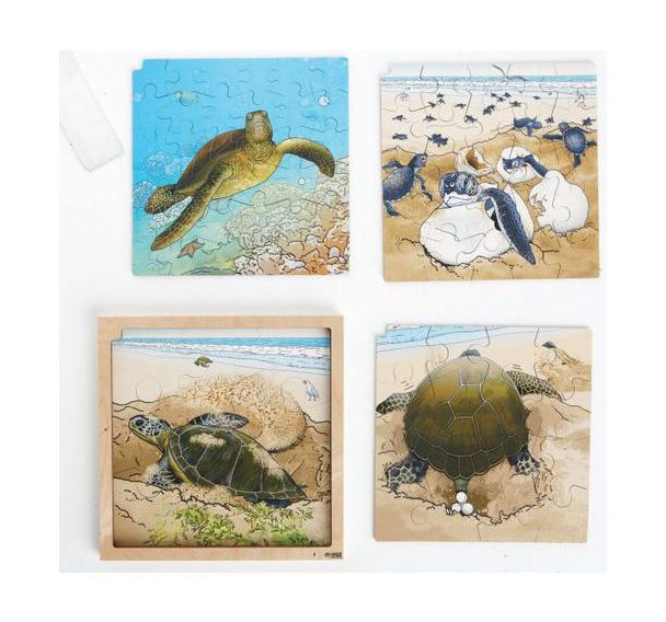 Puzzle développement de la tortue de mer