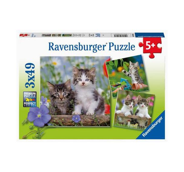 Puzzles chatons 49 pièces