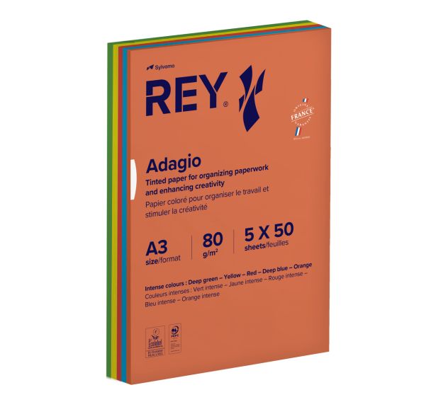 Ramette 250 feuilles A3 80g 5 teintes vives assorties