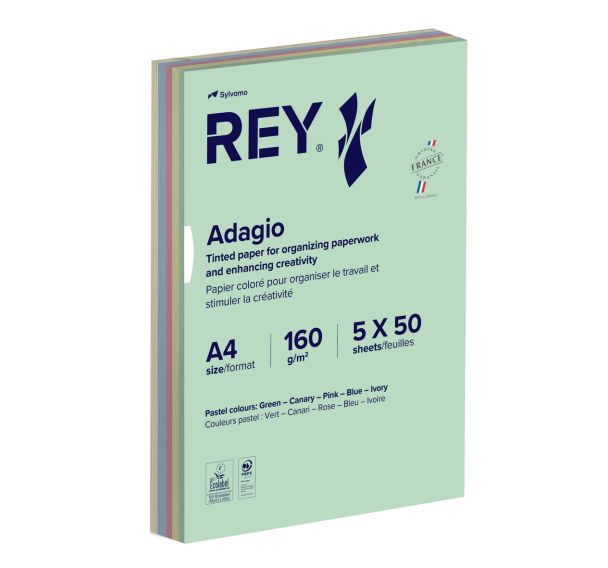 Ramette 250 feuilles A4 160g 5 teintes pastels assorties