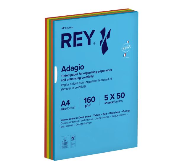 Ramette 250 feuilles A4 160g 5 teintes vives assorties