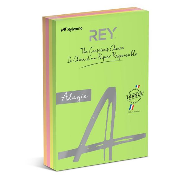 Ramette 500 feuilles A4 80g 4 teintes fluorescentes assorties