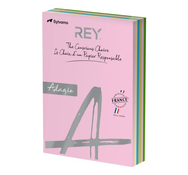 Ramette 500 feuilles A4 80g 5 teintes pastel assorties