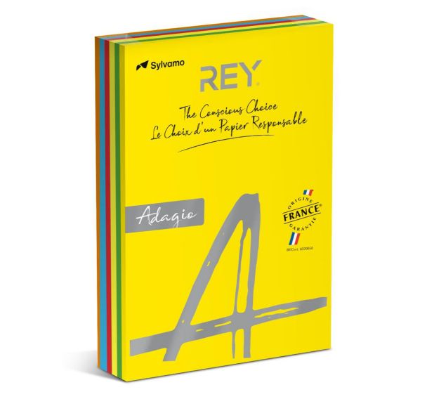 Ramette 500 feuilles A4 80g 5 teintes vives assorties