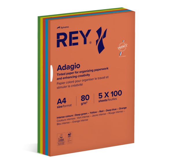 Ramette 500 feuilles A4 80g 5 teintes vives assorties