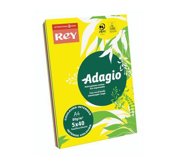 Ramette Adagio 200 feuilles - 80 g- Couleur vives - Rey