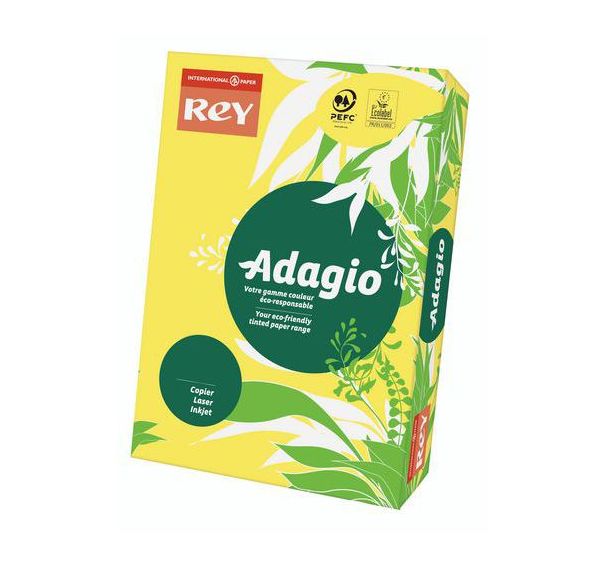 Ramette Adagio 500 feuilles - 80 g - Couleurs Intenses - Rey