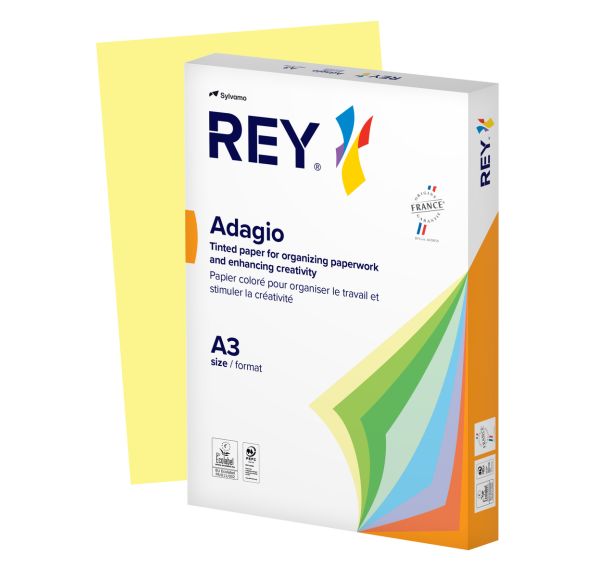 Ramette couleur pastel à la teinte 500 feuilles 80g A3 - Rey