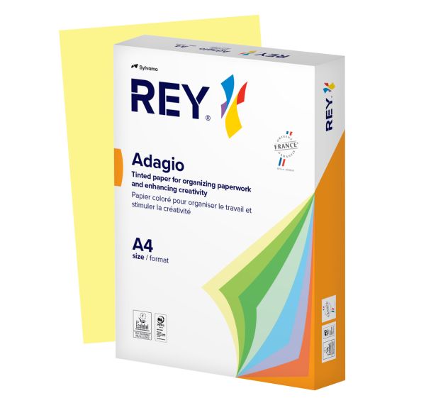 Ramette couleur pastel à la teinte 500 feuilles 80g A4 - Rey