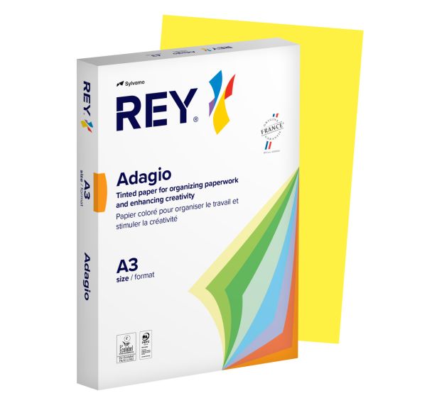 Ramette couleur vive 500 feuilles 80g A3 à la teinte - Rey