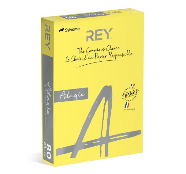 Ramette couleur vive 500 feuilles 80g A4 à la teinte - Rey