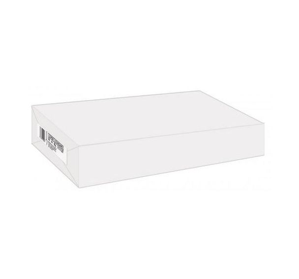 Ramette repro blanc 80 grammes A4 c