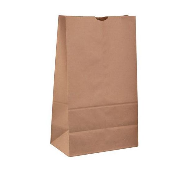 Sac kraft brun